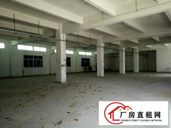 
平湖华南城边一楼面积800平米出租可分租急急