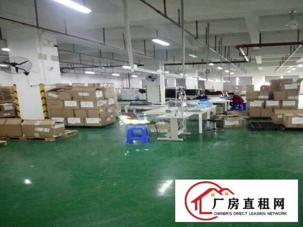 
平湖电商产业园20000平米出租可分租急急急