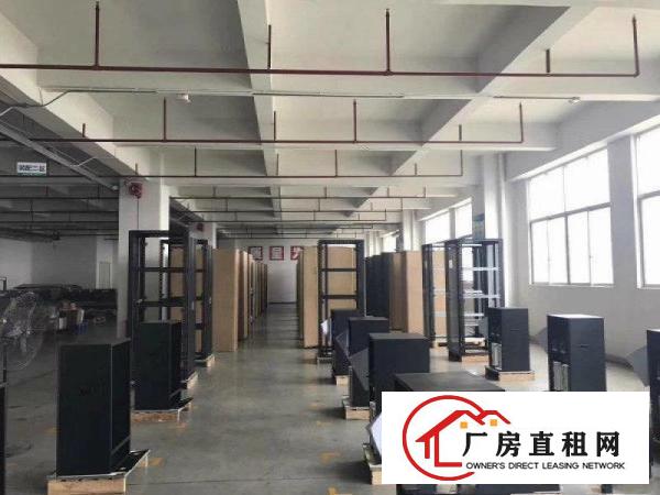 
平湖衫坑工业区整一层1000平方精装修厂房出租