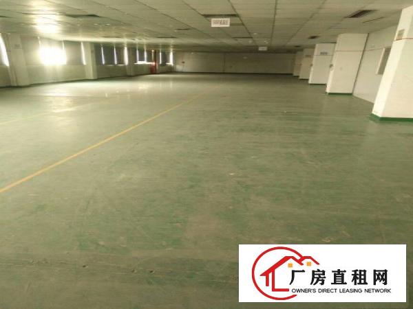 
平湖全新厂房二楼1200平米出租可分租急急