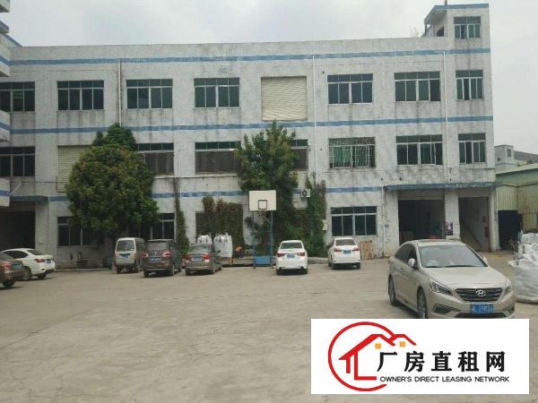 
龙岗区平湖新出原房东经典独院4200平出租空地大
