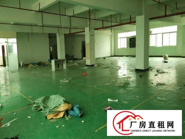 
龙岗区平湖新出原房东经典独院4200平出租空地大