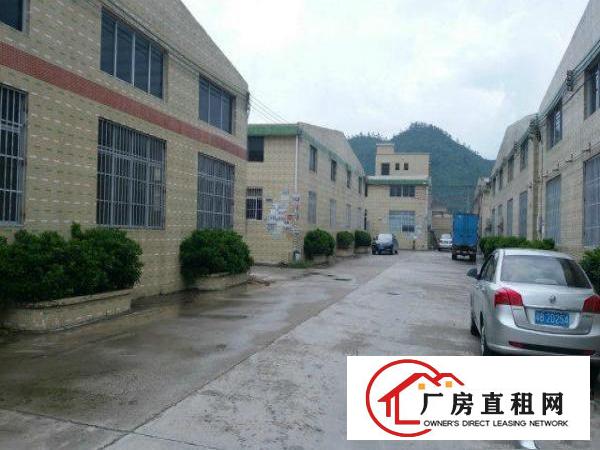 
原房东一栋2000平米8米高钢构3栋出租,可分租