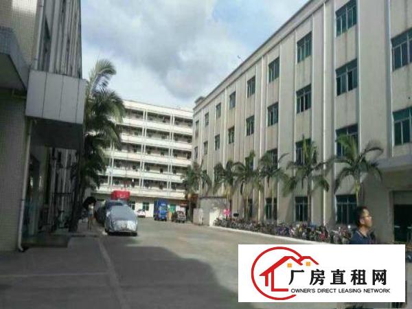 
16元起近红棉路横岗一栋厂房500平米起分租带装修