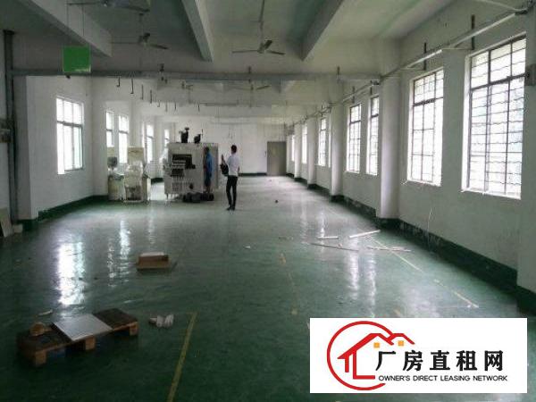 
16元起近红棉路横岗一栋厂房500平米起分租带装修