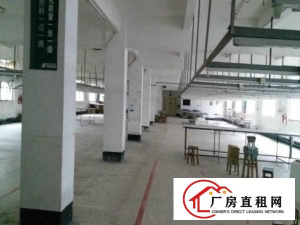 
16元起近红棉路横岗一栋厂房500平米起分租带装修