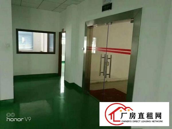 
平湖华南城周边带装修办公室厂房招租