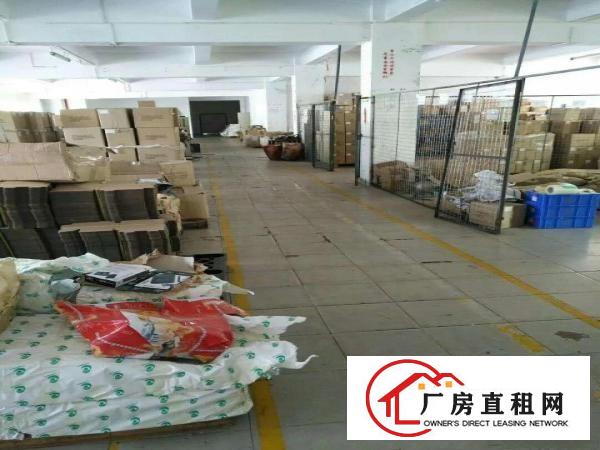 
平湖新厦大道罗山工业区独门独院2600平米厂房出