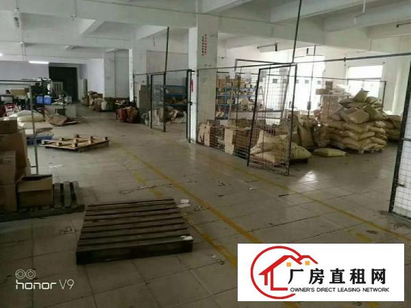 
平湖新厦大道罗山工业区独门独院2600平米厂房出