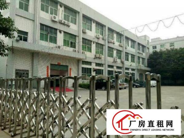 
平湖中心小学旁新出房带精装修独院4500平方出租