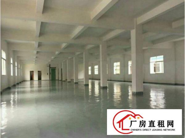 
平湖中心小学旁新出房带精装修独院4500平方出租
