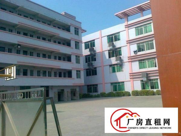 
平湖华南城西门带装修2楼1100平方厂房出租