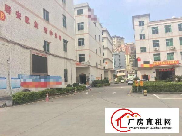 
业主平湖辅城坳大型工业园3000平方厂房出租