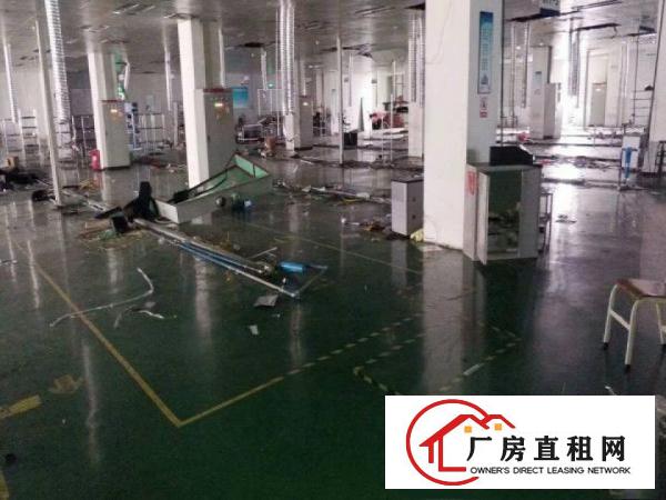 
业主平湖辅城坳带装修7000平方独院厂房出租