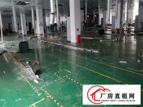 
业主平湖辅城坳带装修7000平方独院厂房出租