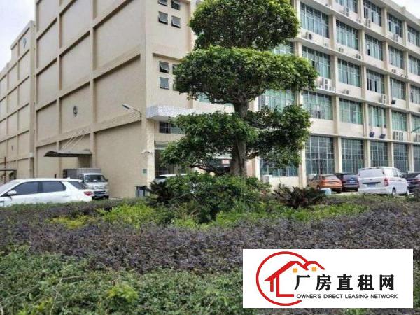 
平湖山厦新出3楼680平方厂房急租
