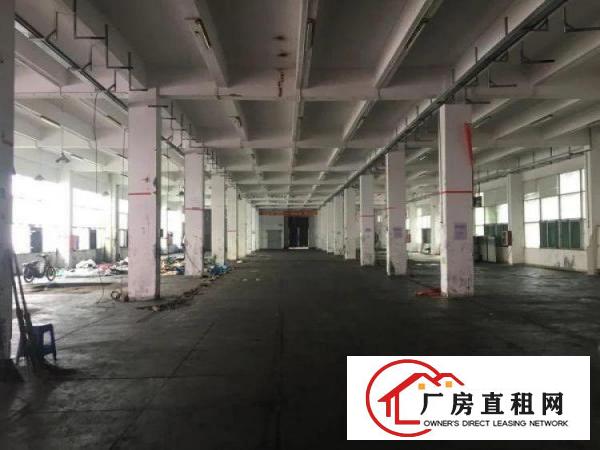 
平湖新木新出3楼500平方厂房出租