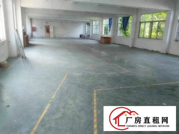 
四方埔独院厂房4800平米12元整租