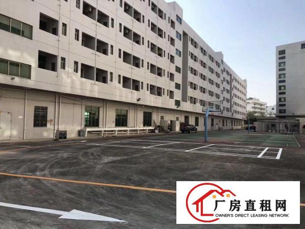 
龙岗坪地厂房龙岗大道边上院内空间大独门独院