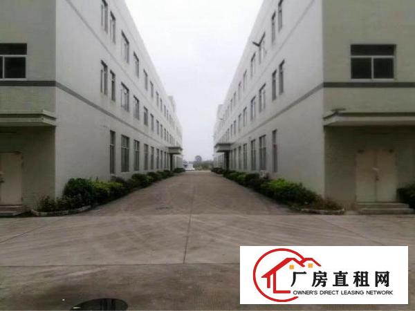 
坪地低碳城带牛角6米高一楼3600平米18元