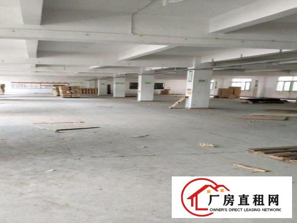 
龙岗坪地坪东富地岗独院厂房出租分租