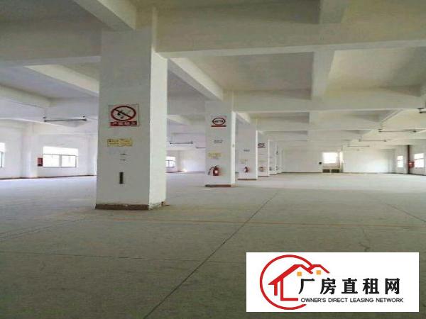 
龙岗坪地坪东富地岗独院厂房出租分租