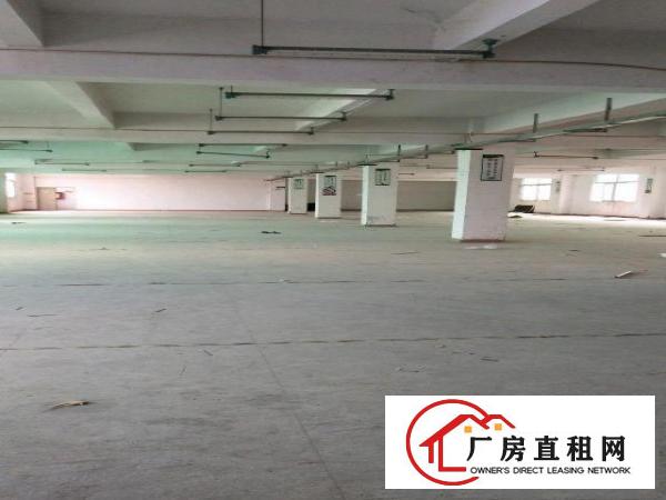 
龙岗坪地坪东富地岗独院厂房出租分租