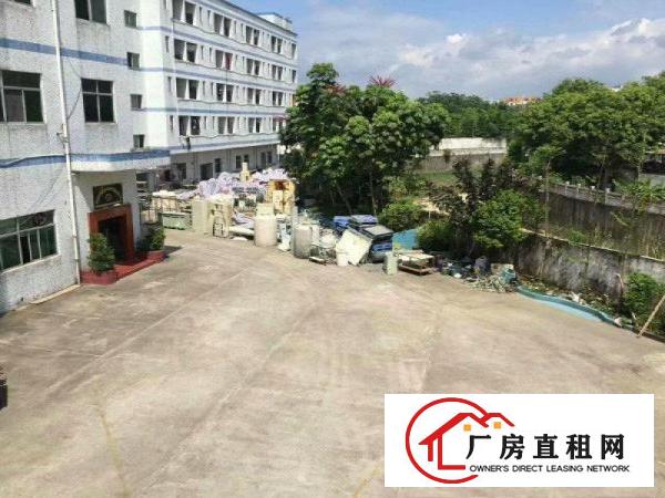 
新开靓盘！坪地年丰村，带办公带电梯可分租