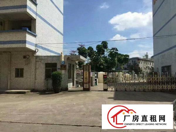 
新开靓盘！坪地年丰村，带办公带电梯可分租