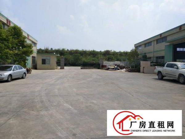 
惠阳新圩单一层钢构10000平米原房东直租