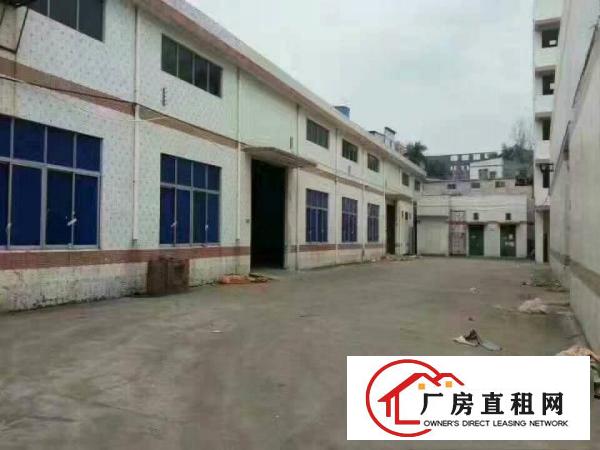
坪地新出独院钢构厂房出租可分租