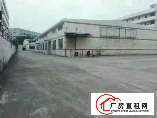 
坪地新出独院钢构厂房出租可分租