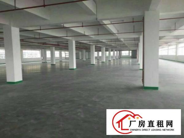 
龙岗坪地2000平带精装修厂房大小分租