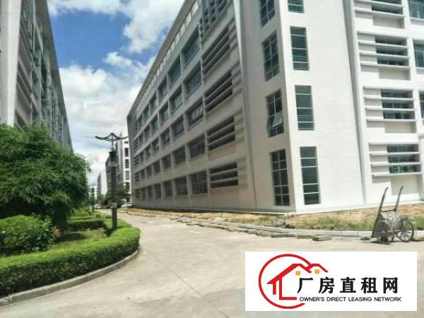 
龙岗坪地2000平带精装修厂房大小分租