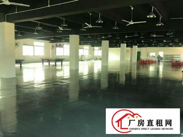
龙岗坪地原房东独院厂房5600宿舍2000招租