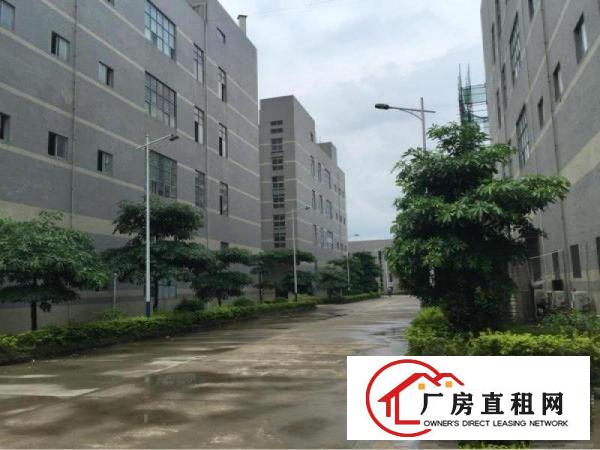 
出租龙岗区坪地厂房