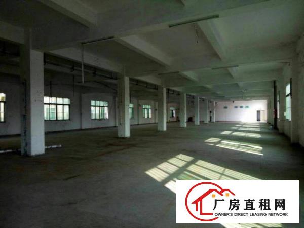 
出租龙岗区坪地厂房
