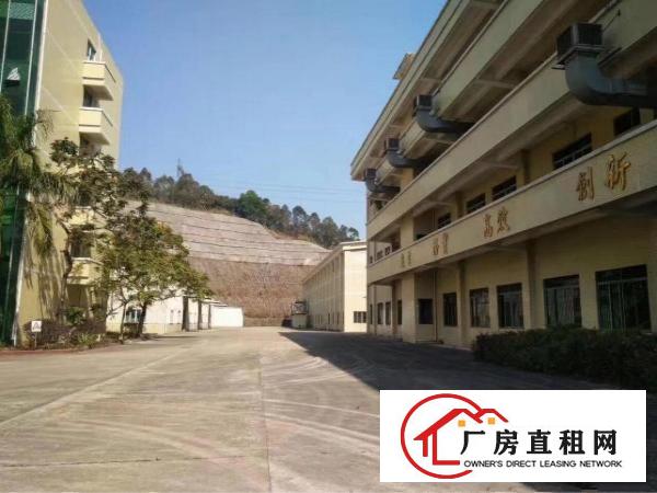 
坪地红本厂房18000平方米招租