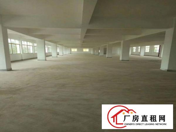 
坪地坪西九成新厂房招租1300