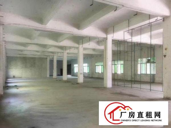 
龙岗坪地厂房独门独院5000平环境绿化好生活交通方便