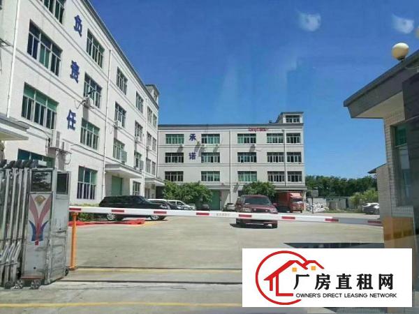 
龙岗坪地独门独院厂房院子大适合做电子贸易研发
