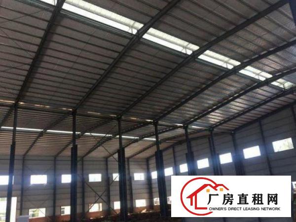 
坪西新出10米高钢构2000平米厂房出租，可分租