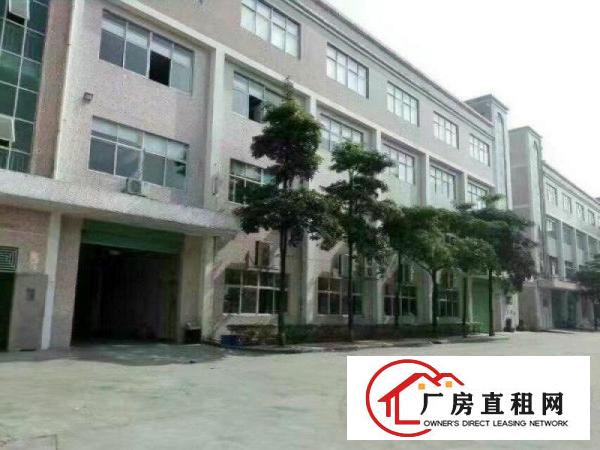 
龙岗坪地高桥低碳产业园独门独院适合研发医疗设备