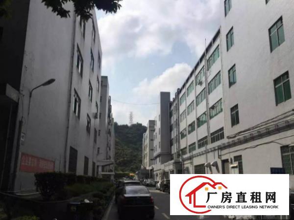
坪地大工业区2楼精装电子厂房2000平米13元