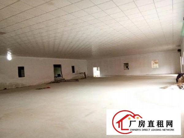 
独门独院钢构厂房4300平米16元
