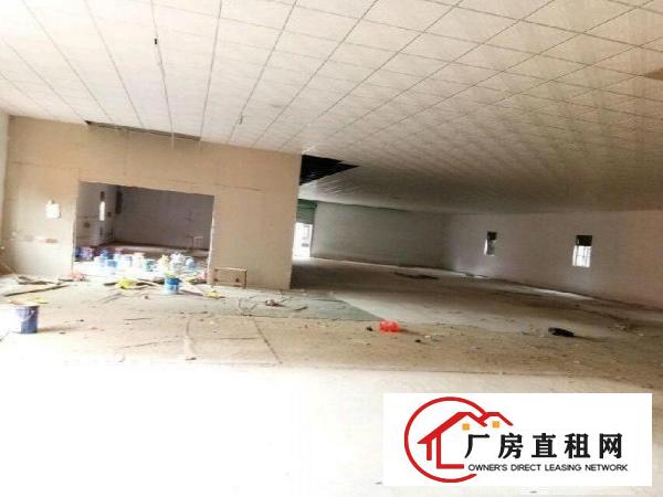
独门独院钢构厂房4300平米16元