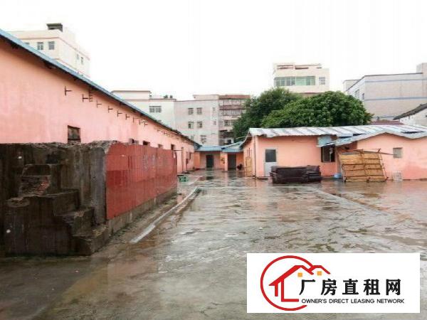 
独门独院钢构厂房4300平米16元