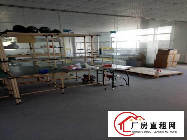 
坪地原房东厂房360平米带装修办公室
