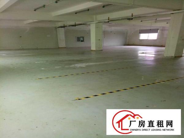 
（出租）龙岗坪地新出原房东厂房550平米