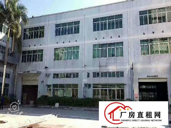 
坪地坪西新出400平精装办公室14块